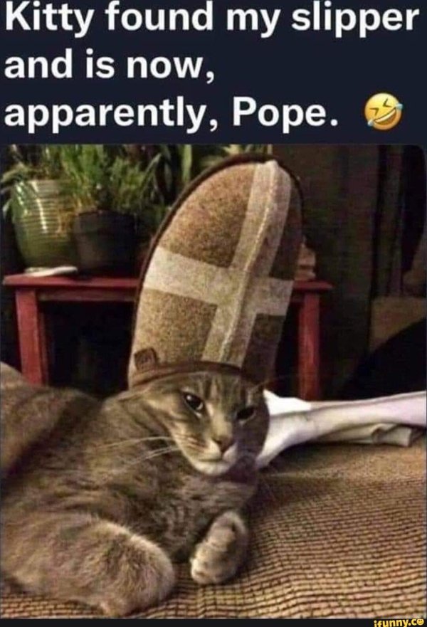 cat pope