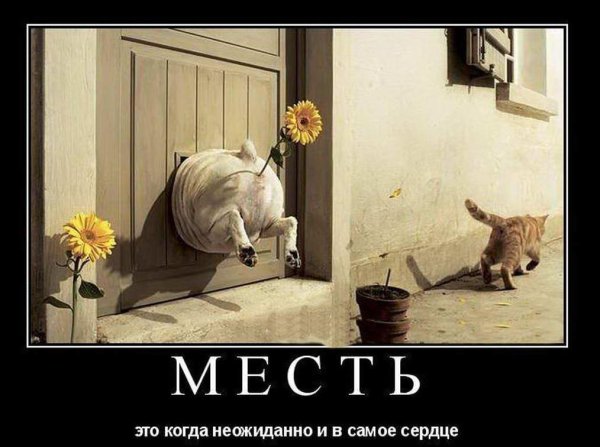 дарите врагам цветы