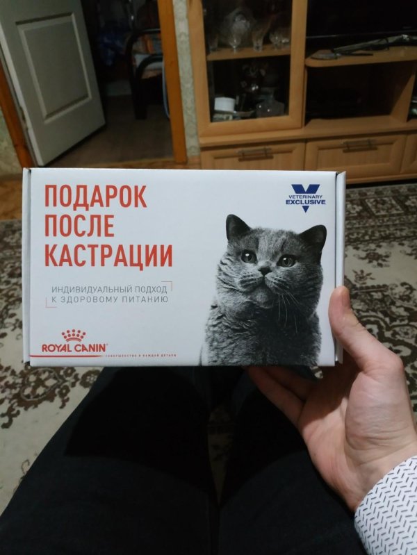 подарки при кастрации и стерилизации