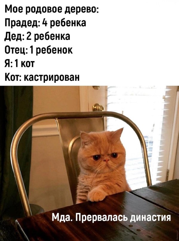 приколы юмор