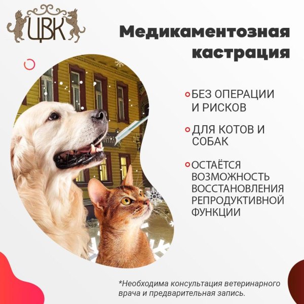 операция ветеринария