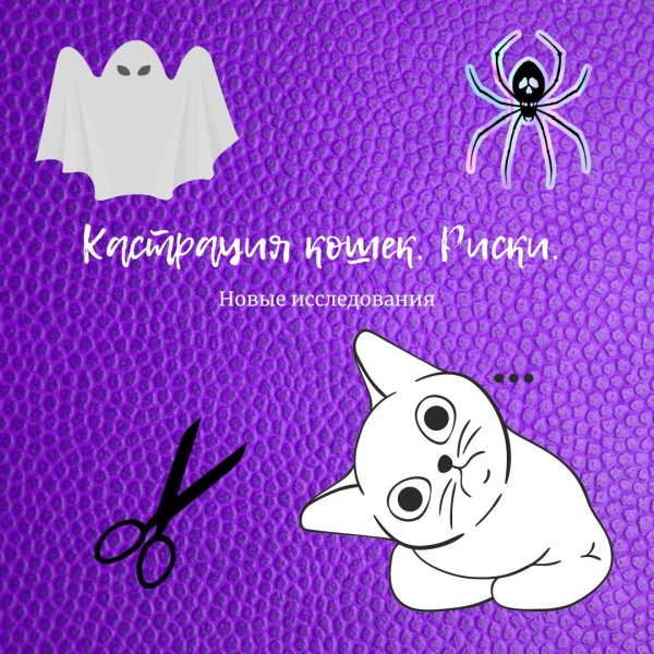 летучая мышка