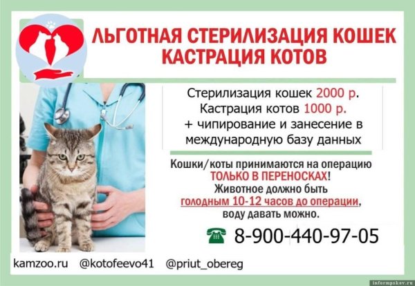 льготная стерилизация