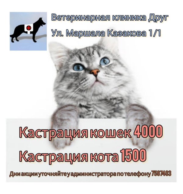 ветеринарная клиника