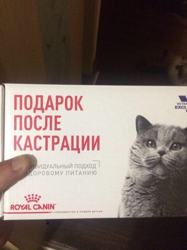 таблетки для котов после кастрации
