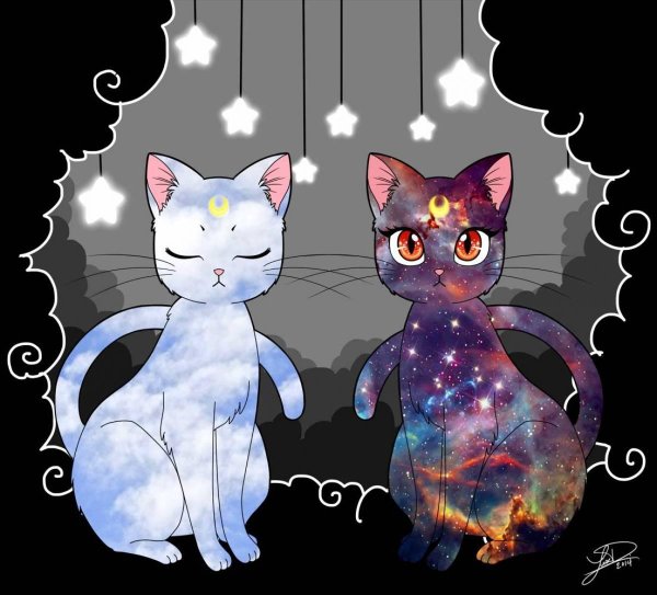 Котиков аниме