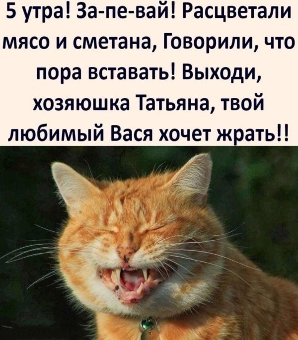 пора вставать