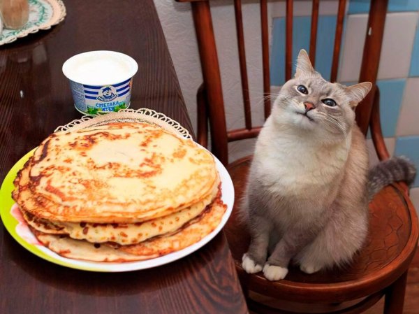 приколы с блинами