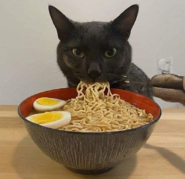 лапша быстрого приготовления