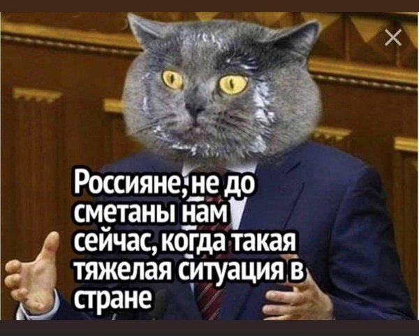 не до сметаны нам сейчас