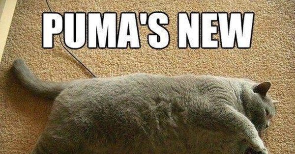 смешные пины