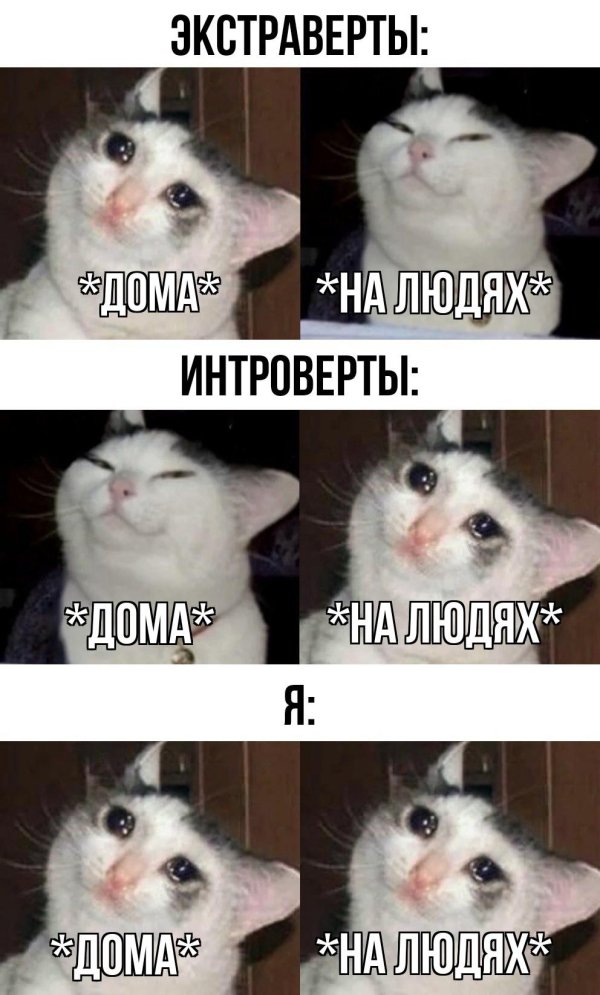 экстраверт интроверт
