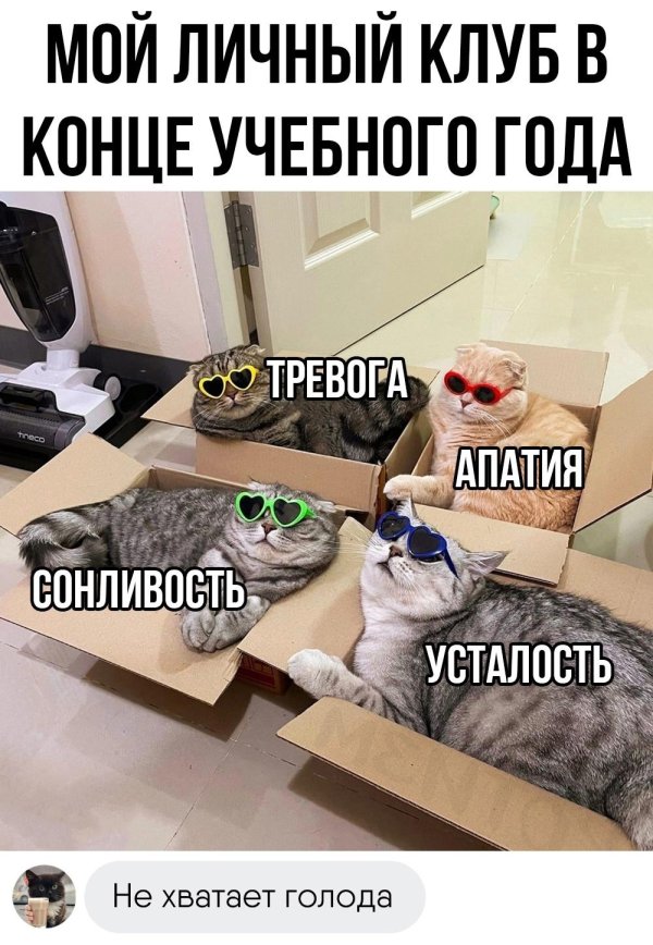 конец учебного года