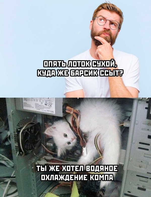 подборка мемов