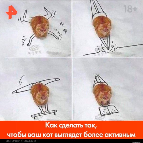 котенок смешной