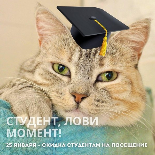 день студент