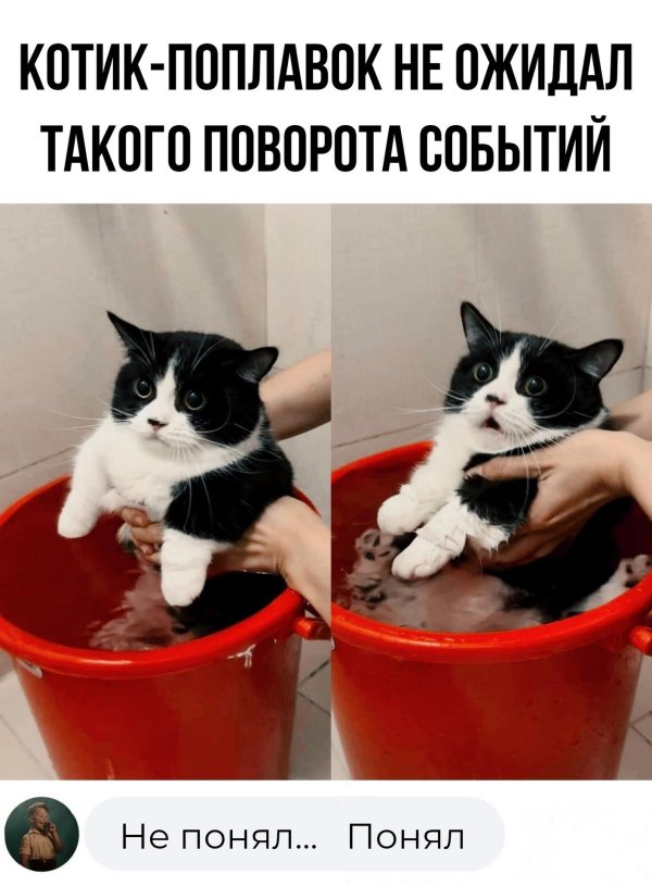 хороший юмор