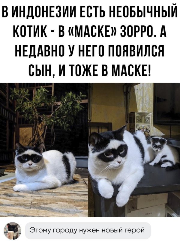 прикольные комментарии