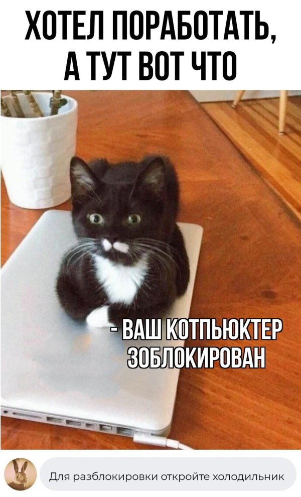 свежие мемы