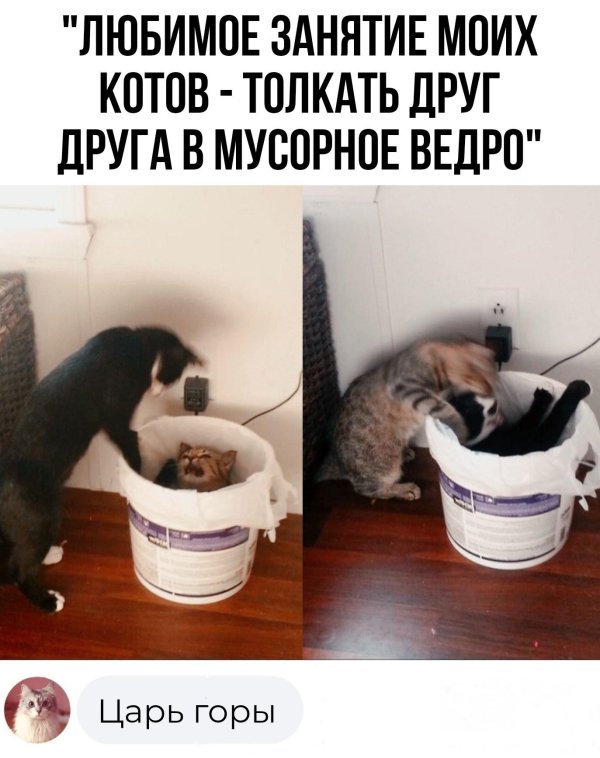 мусорное ведро