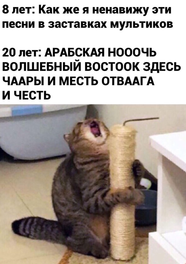 кричащая кошка