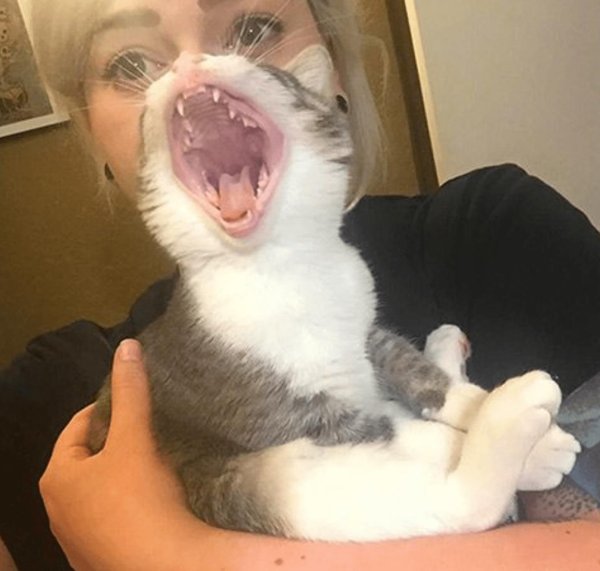 ржака до слез