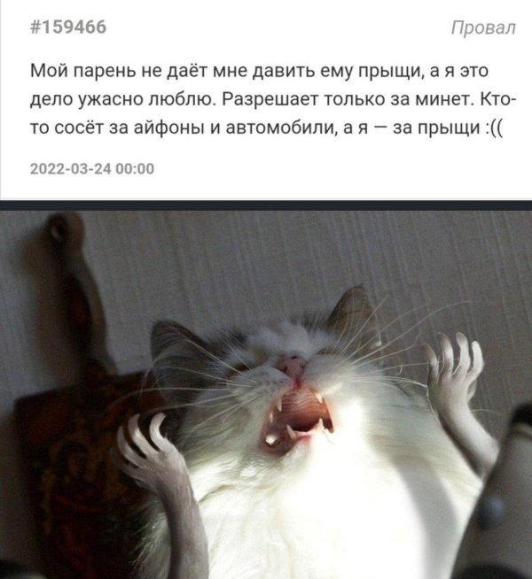 смешные комментарии