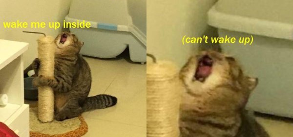 wake me up мем