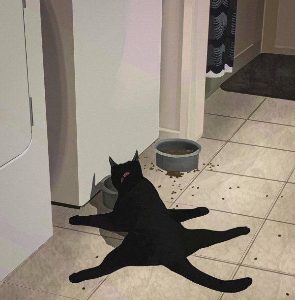 странная кошка