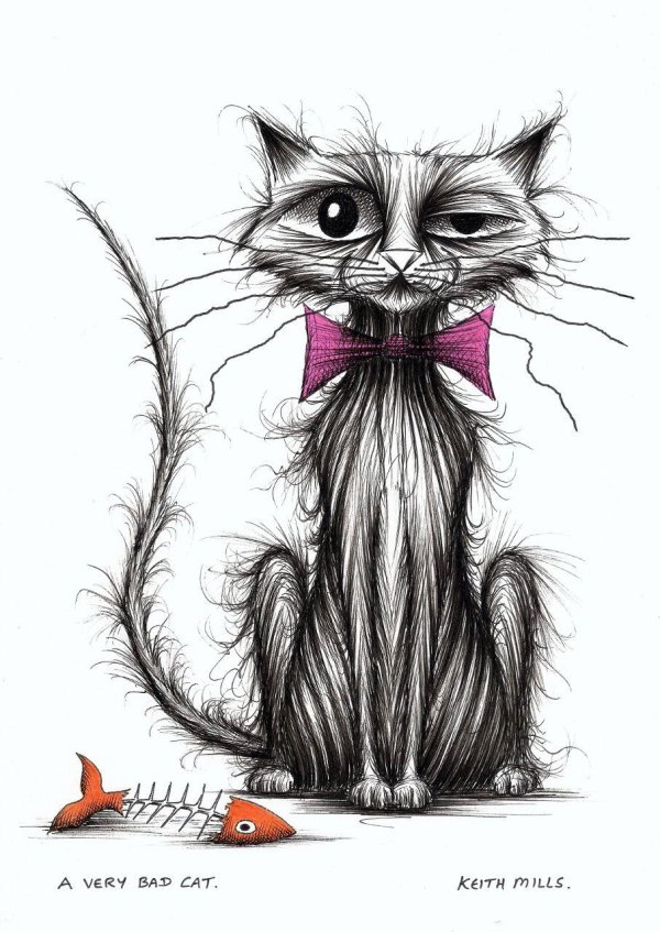 интересные рисунки котов