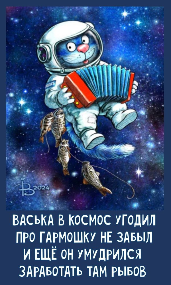 синие коты рины зенюк