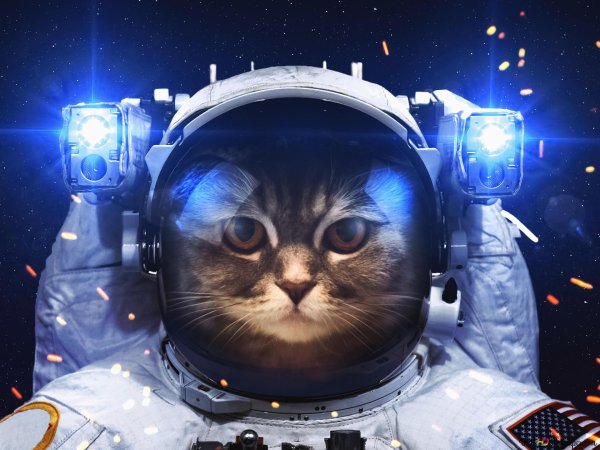 космонавт космос