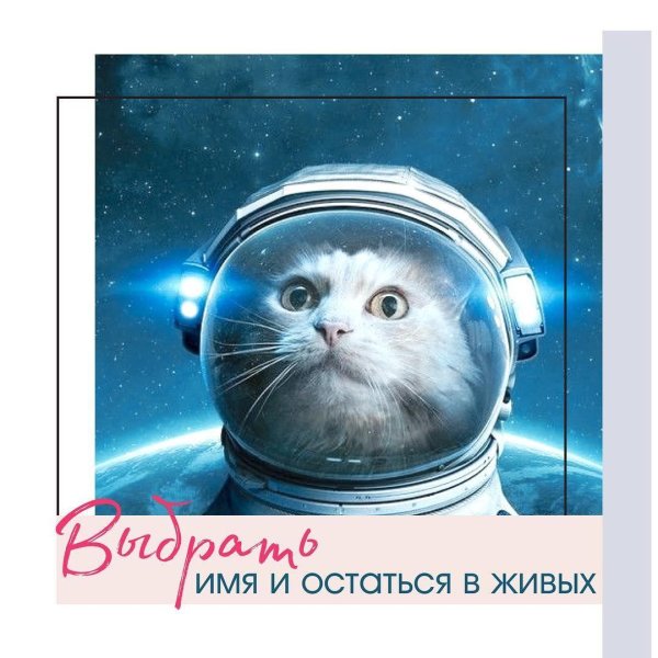 космический кот