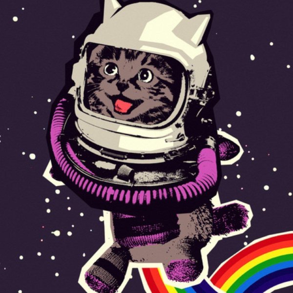 кот космонавт