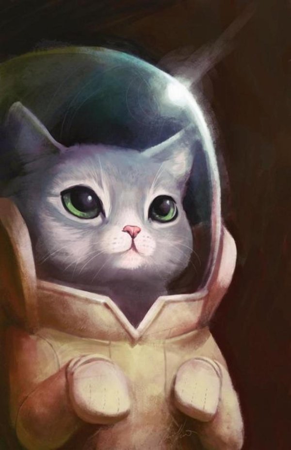 космический кот