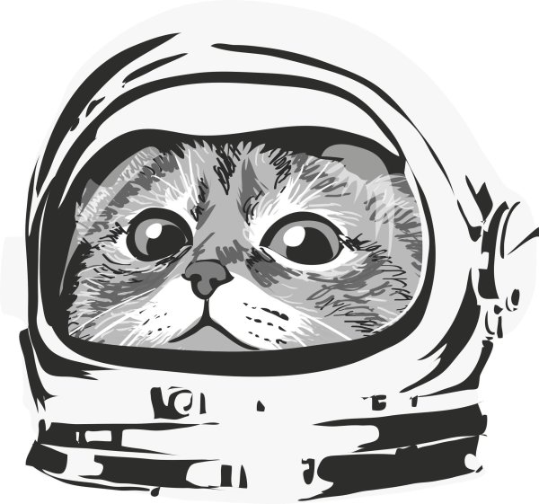 кот космонавт
