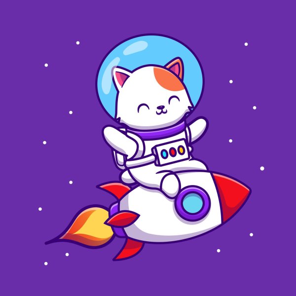 astronaut cat