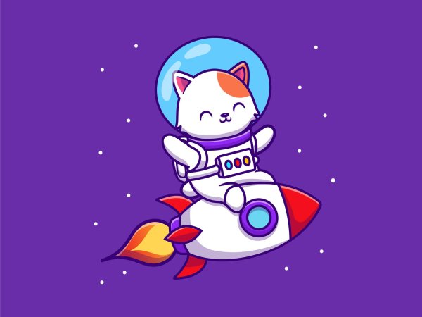 astronaut cat
