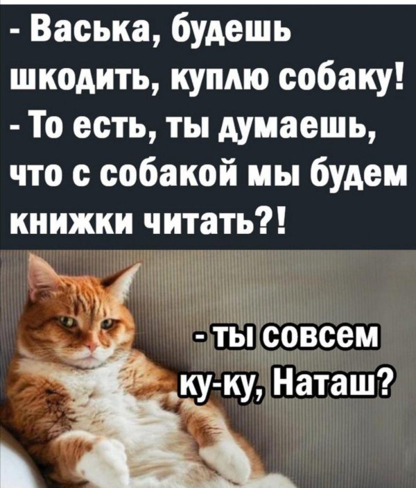 юмористические цитаты