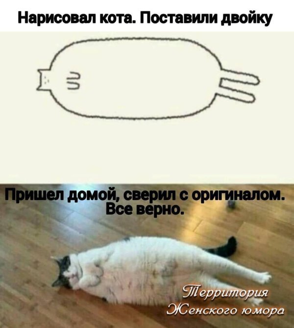 рисунки котов тупых