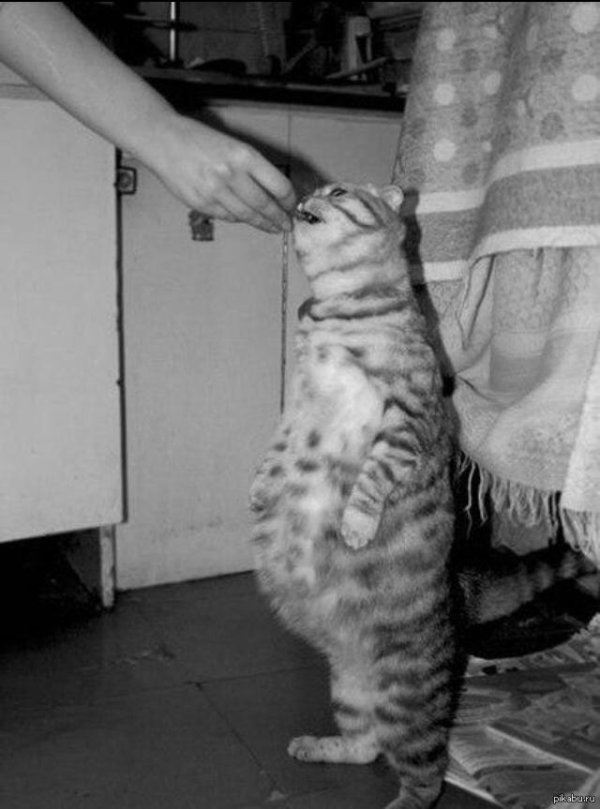 беременным отказывать нельзя