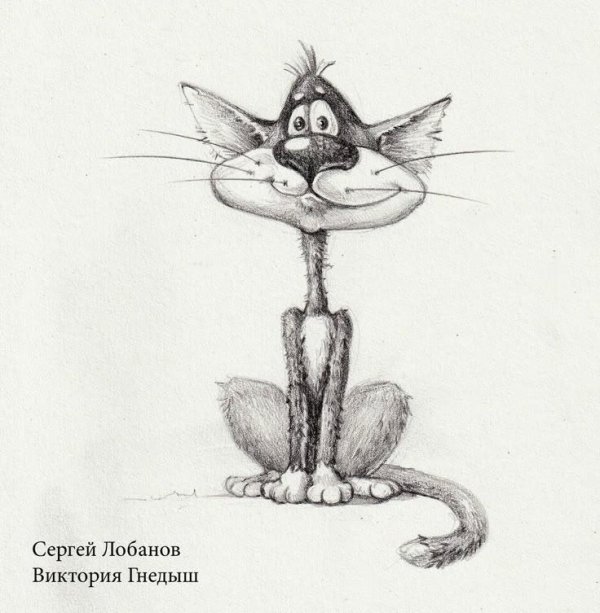 чижиков котография