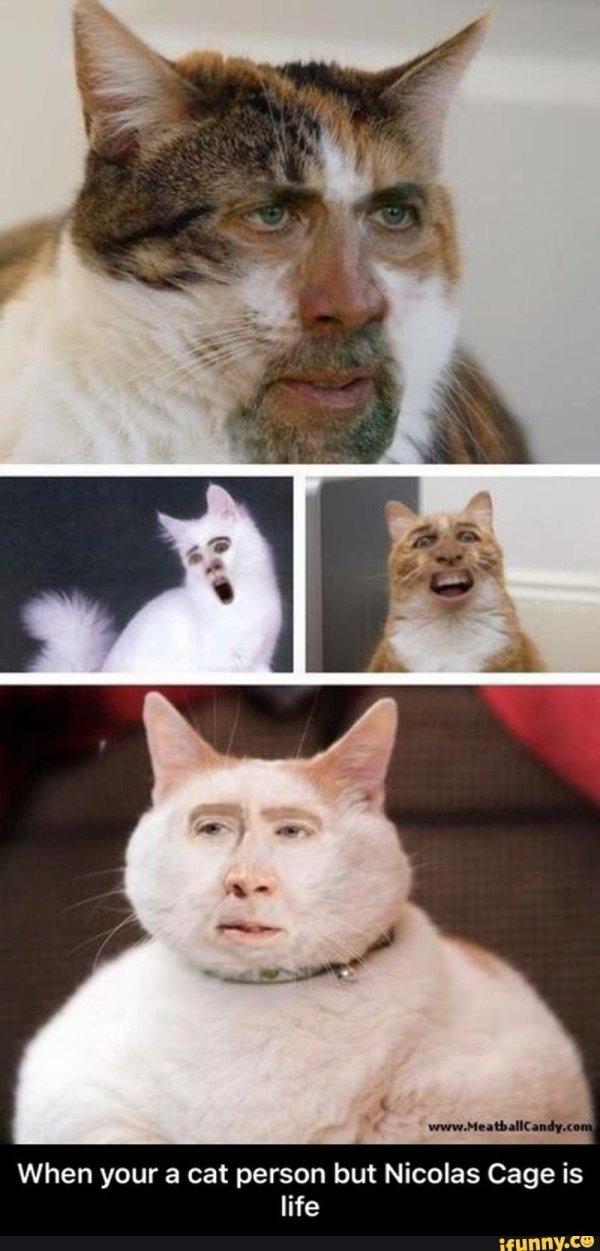 кейдж николас