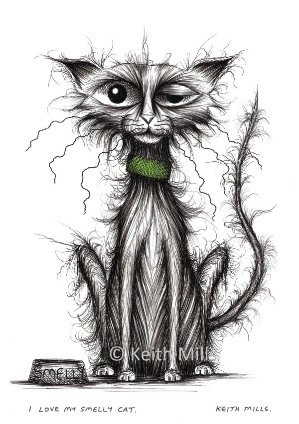 рисунки котов