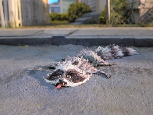 мертвые еноты