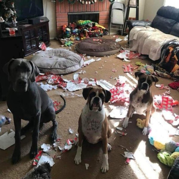 беспорядок в доме