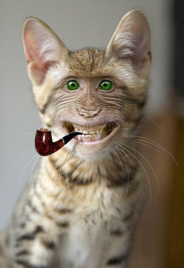 несуществующие животные