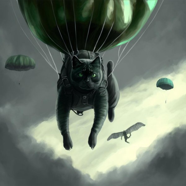 коты парашютисты
