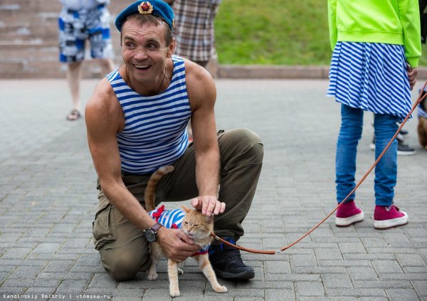 вдвшники и десантники