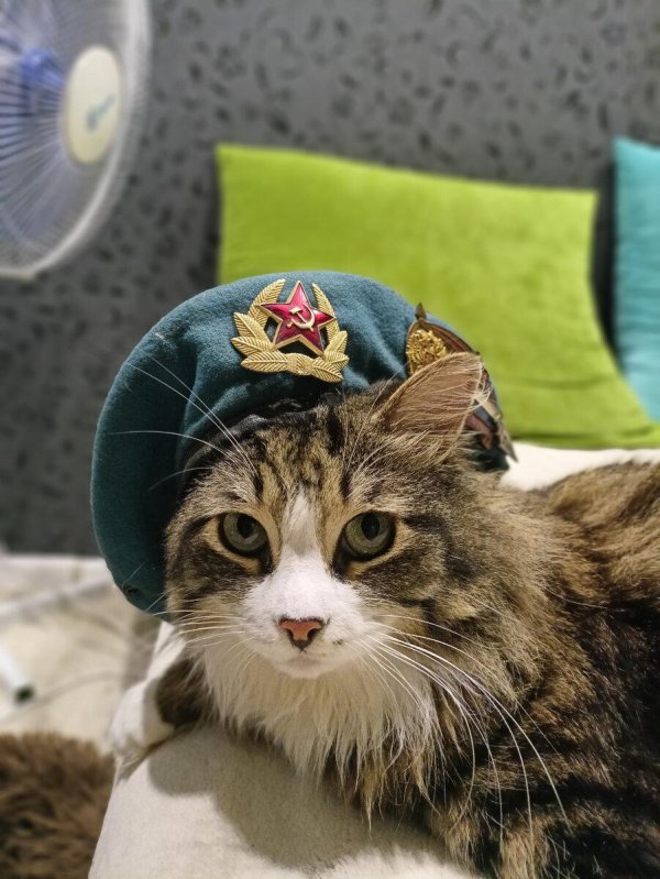 для военных